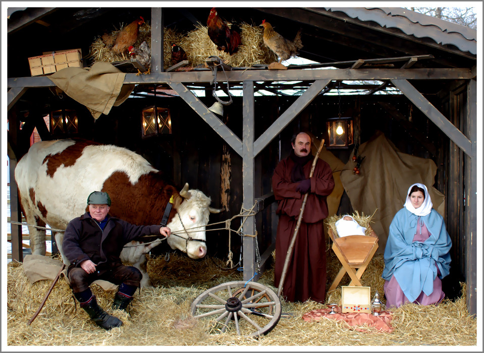 Lebende Krippe Foto & Bild gratulation und feiertage, weihnachten