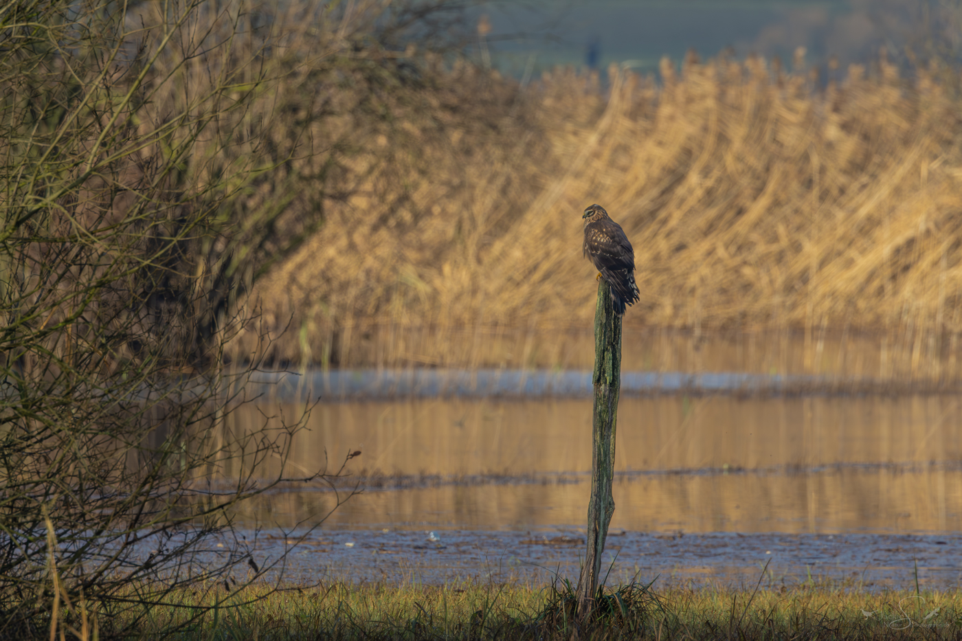 lebende Landschaft