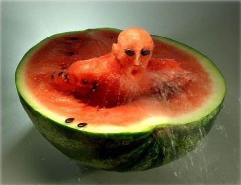 Lebende Melone