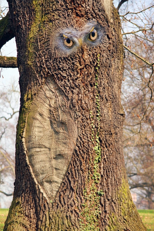 Lebender Baum