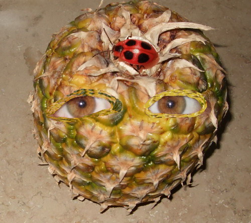 Lebendige Ananas