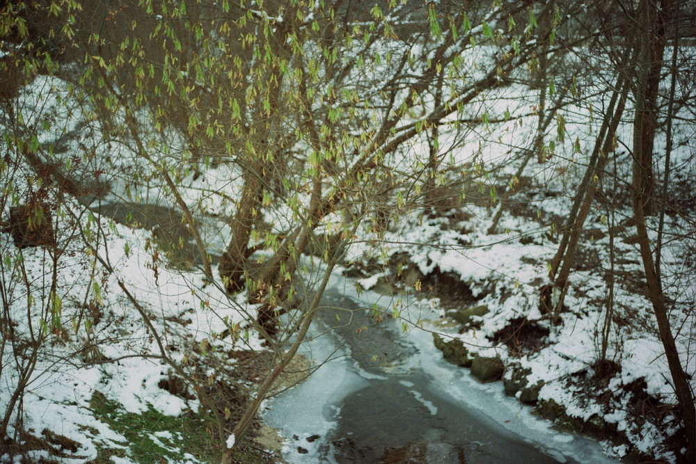 Lebendige Landschaft