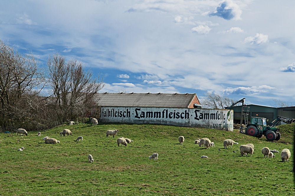 lebendige Speisekarte