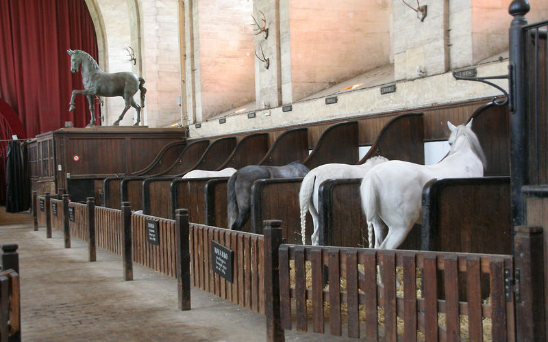 "Lebendiges Pferdemuseum" in Chantilly....