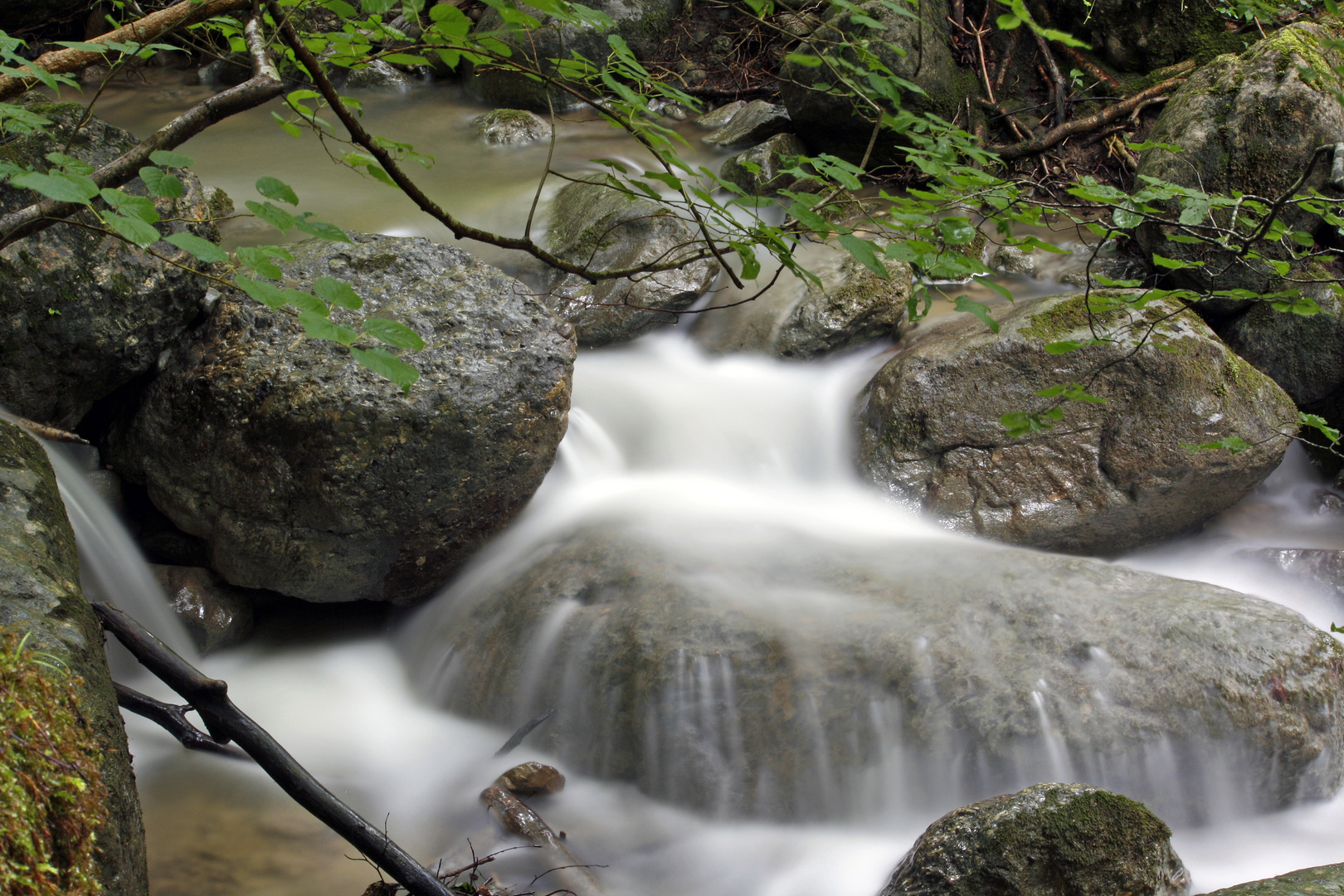 Lebendiges Wasser