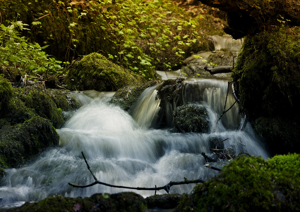 Lebendiges Wasser