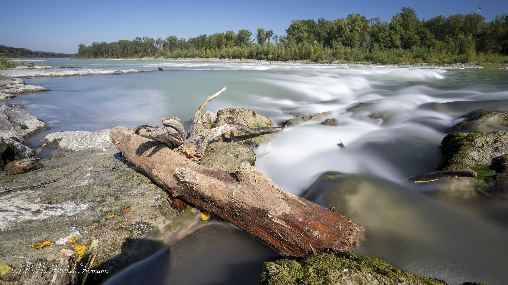 lebendiges Wasser mit Schwemmholz - die Salzach nach der gelungenen Renaturierung 