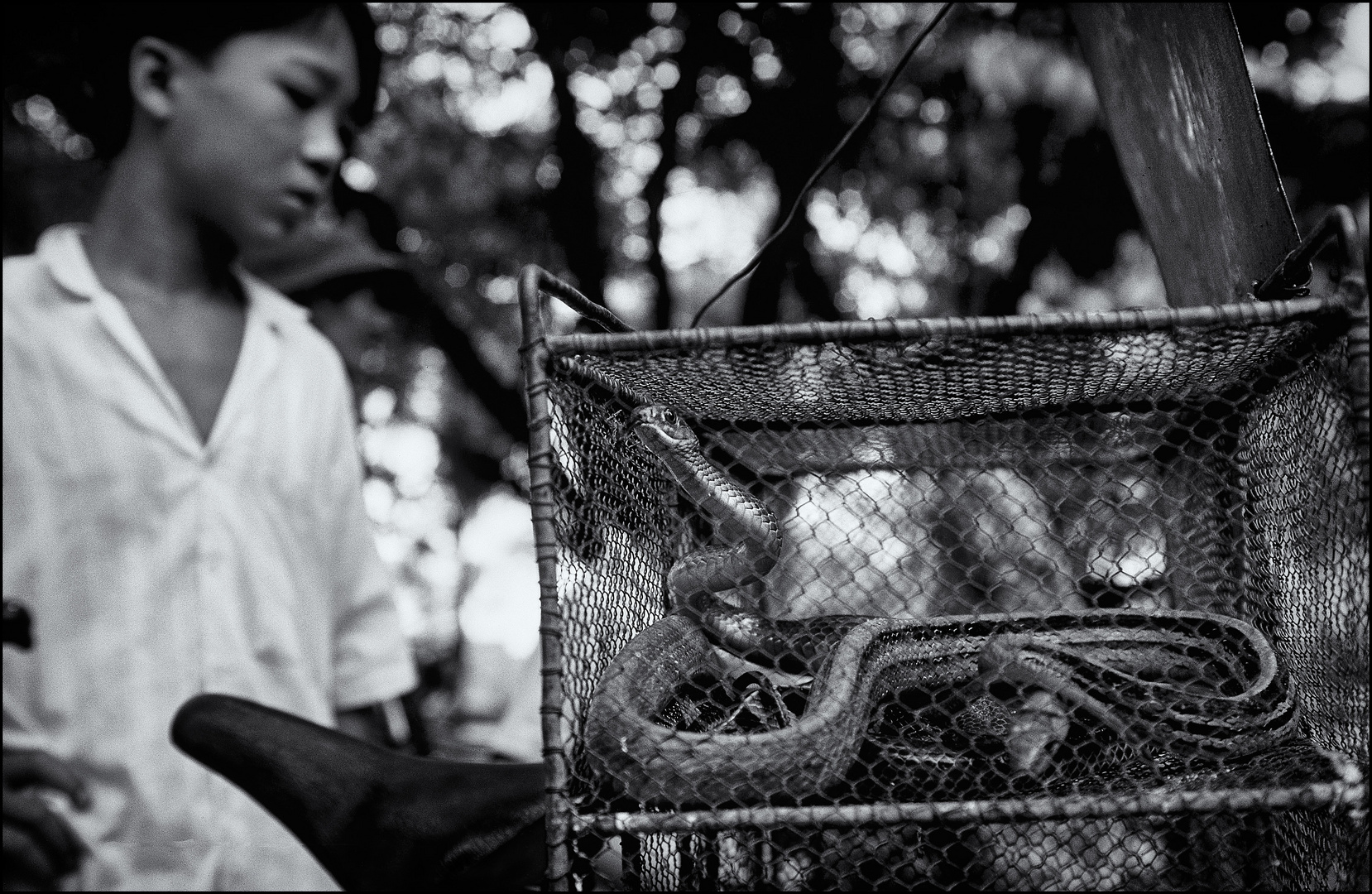 Lebendtierhandel, Saigon, Vietnam 1991