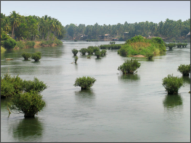 Lebensader Mekong I