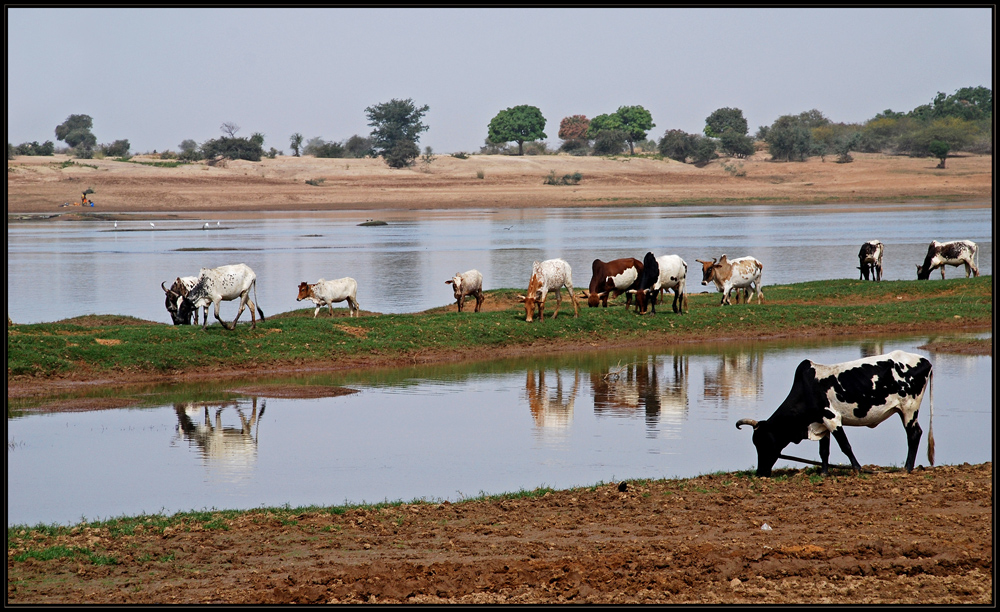 Lebensader Niger