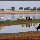 Lebensader Niger