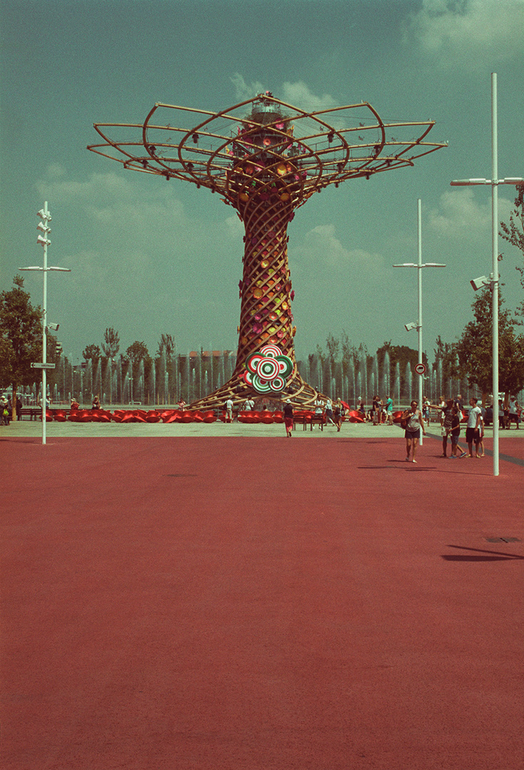 Lebensbaum auf der Expo2015 in Mailand