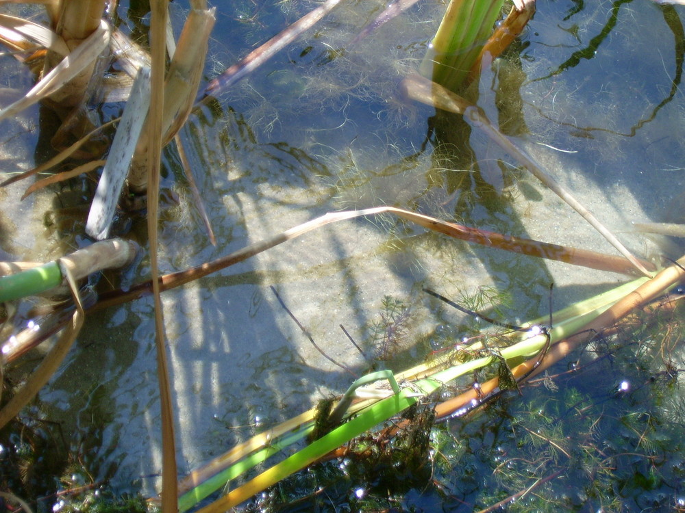 Leben&Schatten