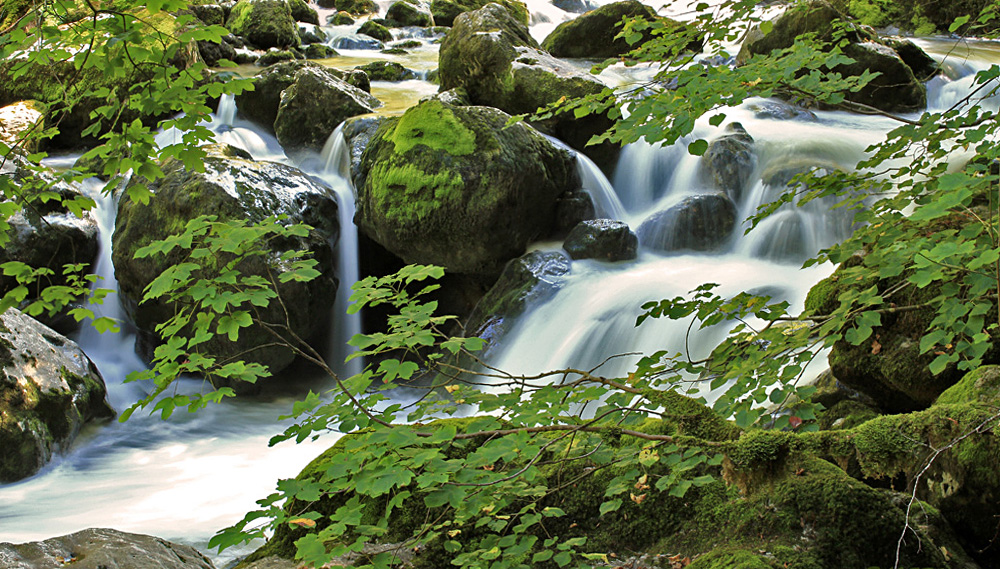 Lebenselexier Wasser