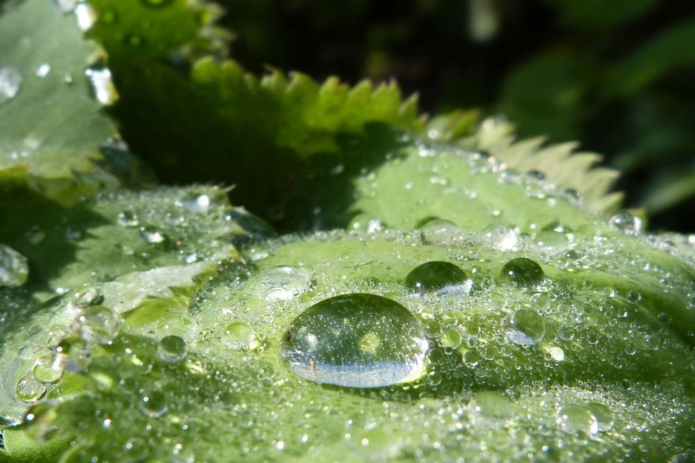 Lebenselexier Wasser