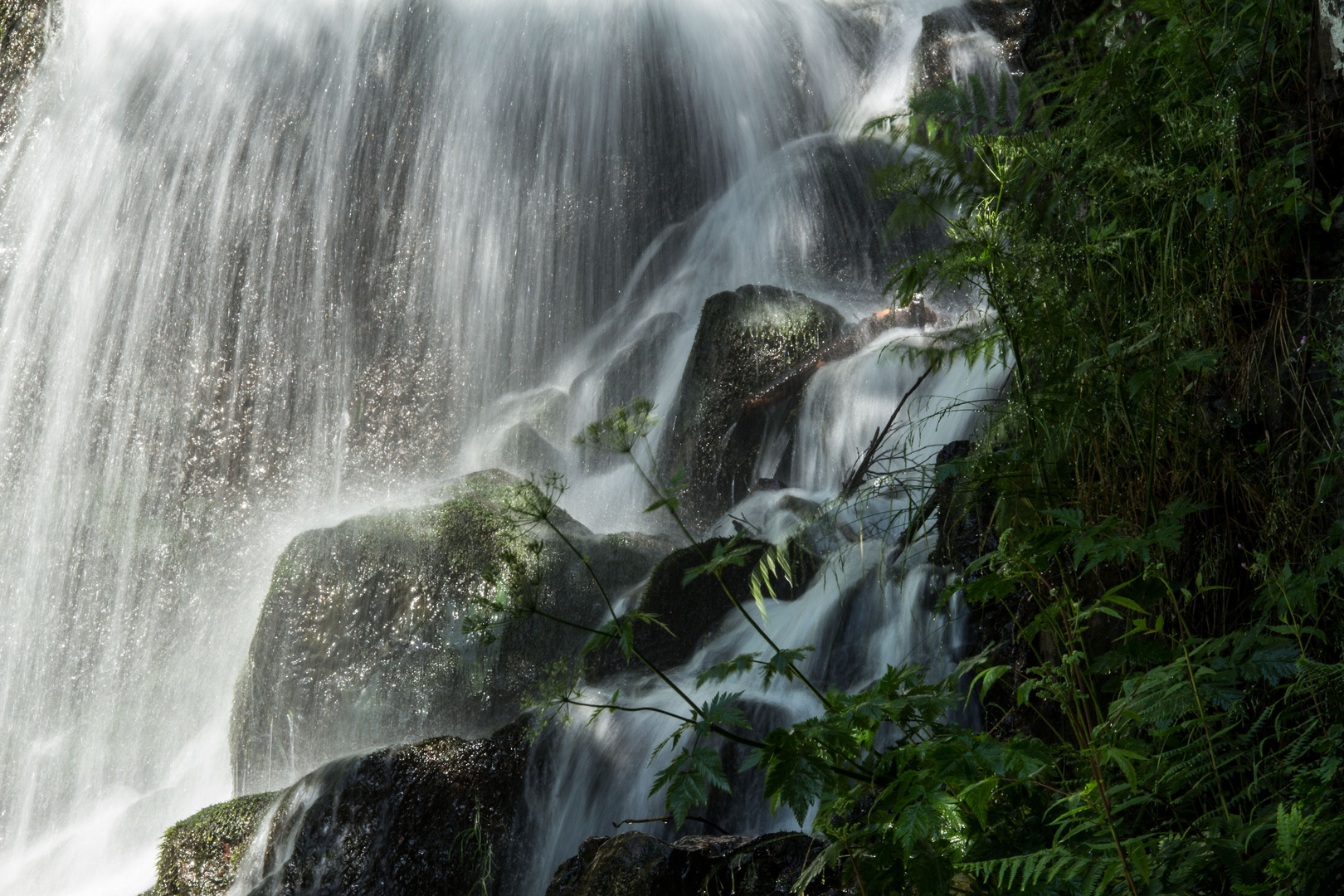 Lebenselixier Wasser