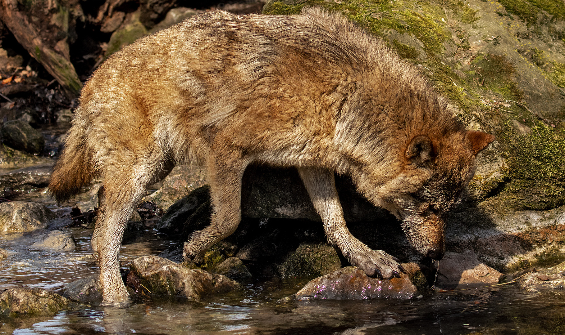 Lebenselixier Wasser