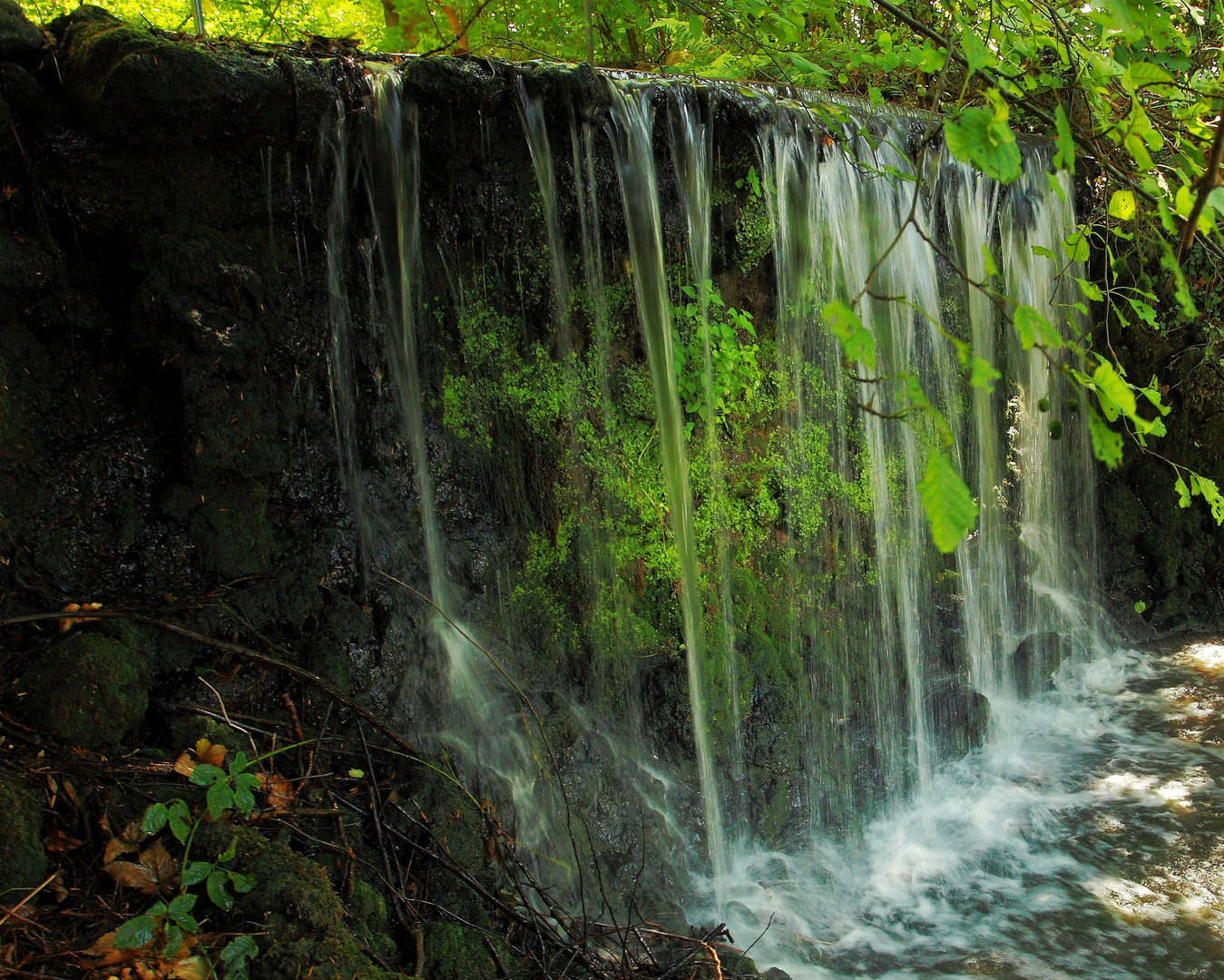 ,,,Lebenselixier,,,Wasser