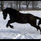 Lebensfreude im Schnee