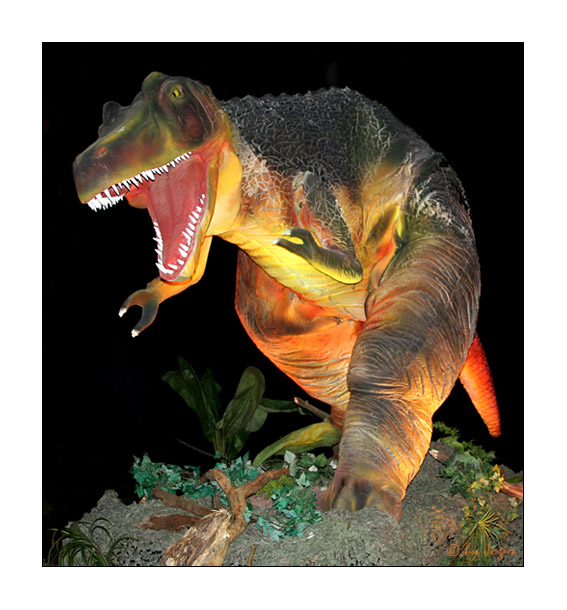 Lebensgroßer Tyrannosaurus Rex