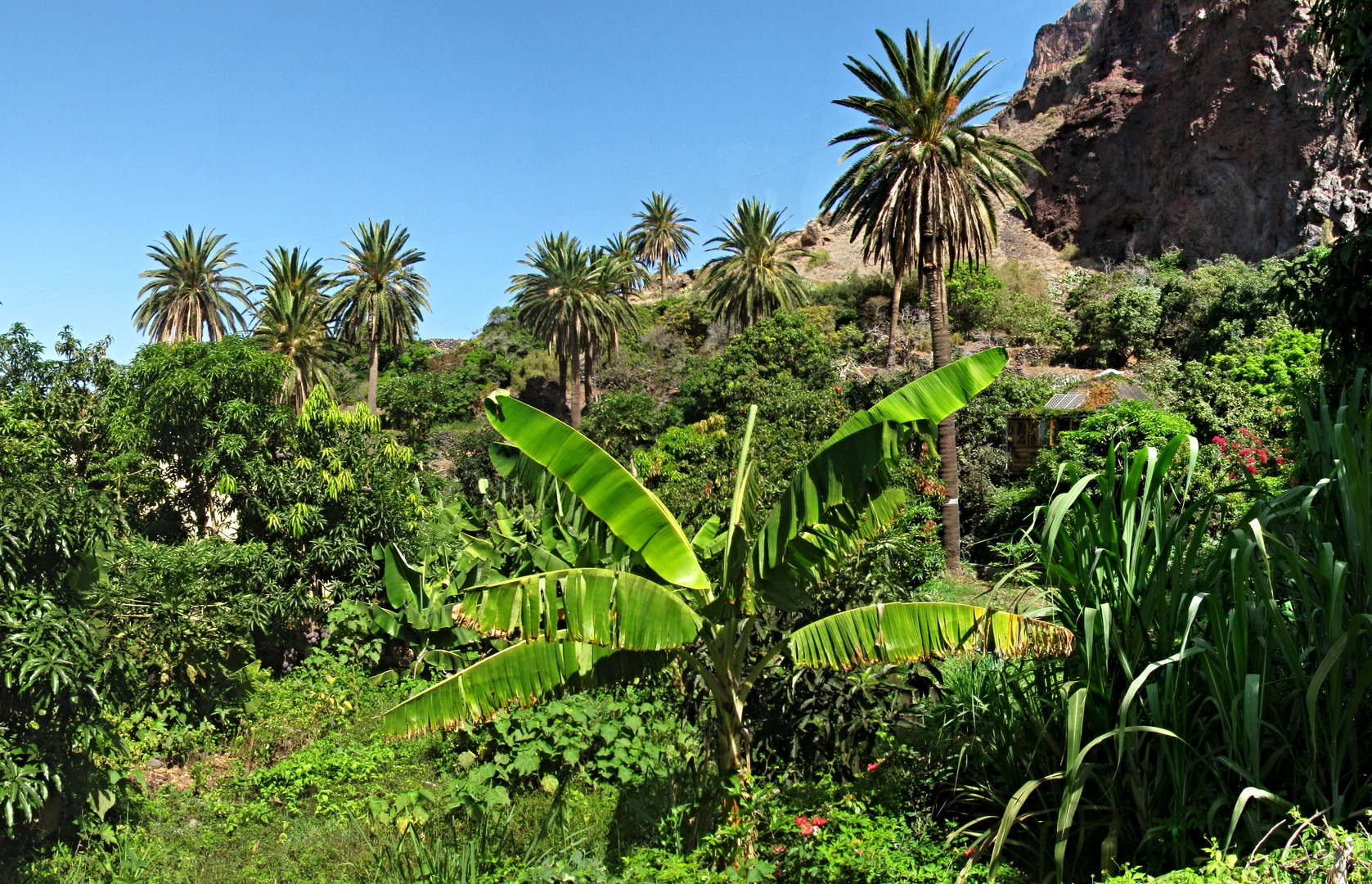 Lebensidylle im Grünen - La Gomera