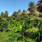 Lebensidylle im Grünen - La Gomera