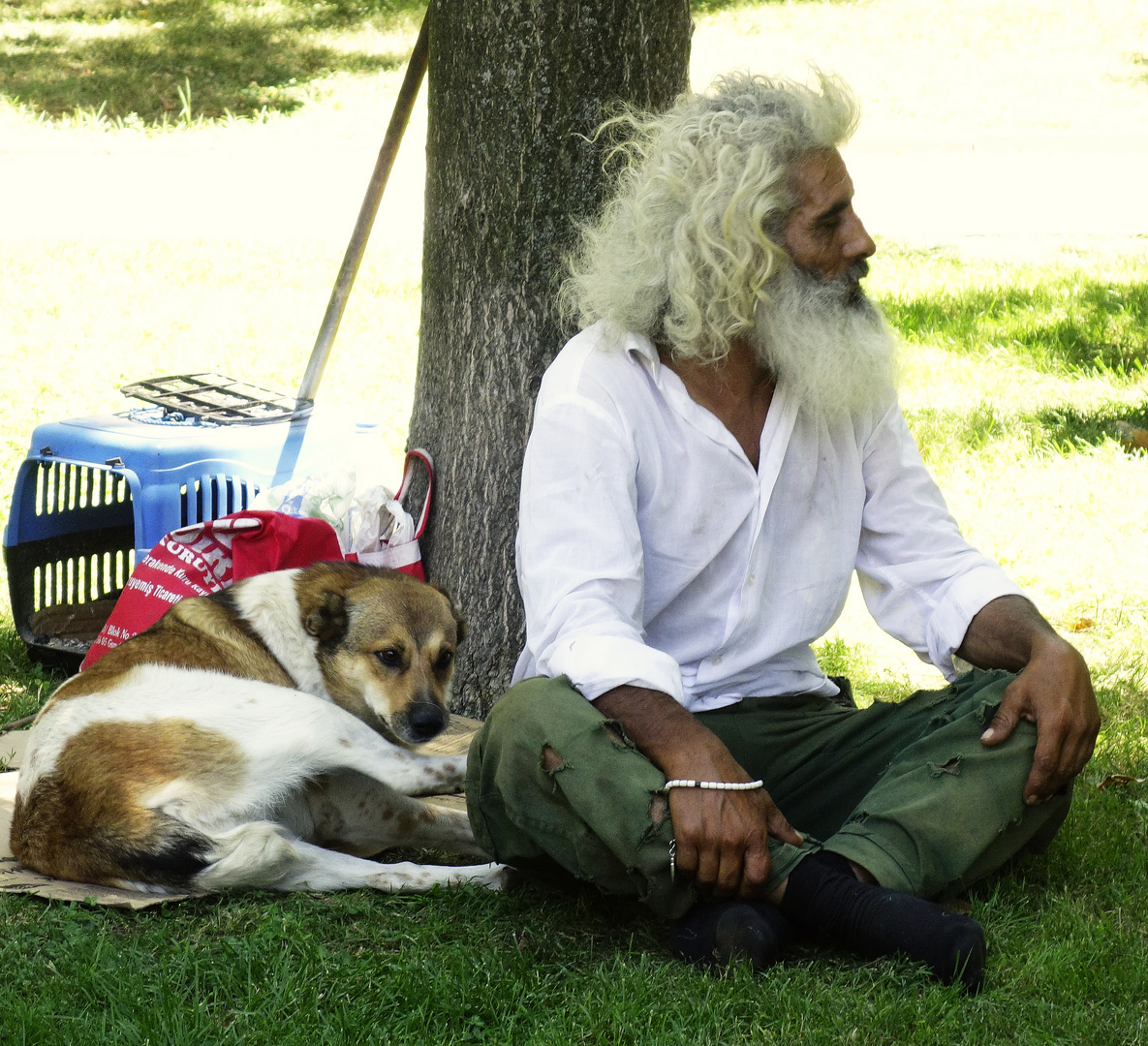 Lebenskünstler oder Bettler mit Hund unter einem Baum im Park von Istambul