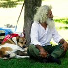 Lebenskünstler oder Bettler mit Hund unter einem Baum im Park von Istambul