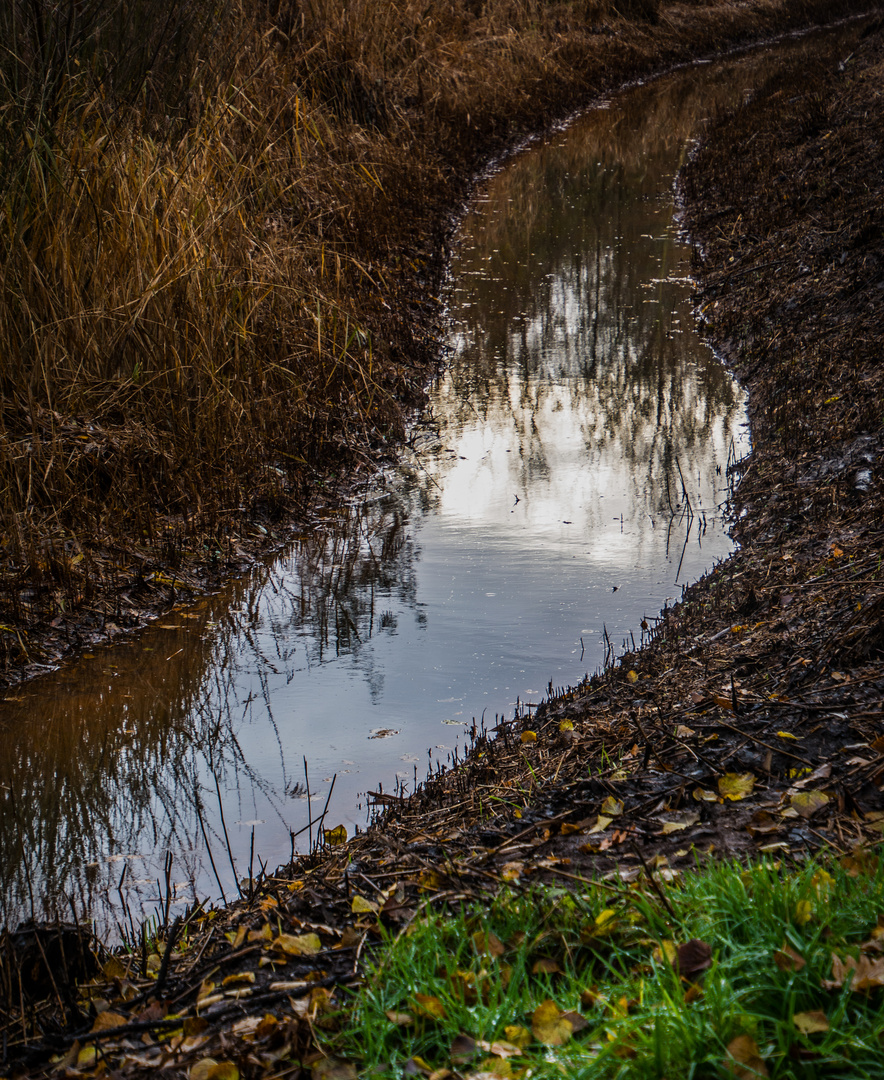 Lebenspfad Wasser