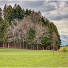 Lebensräume 2021-04-14 HDR-Panorama 01