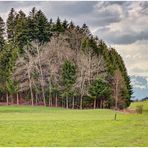 Lebensräume 2021-04-14 HDR-Panorama 01