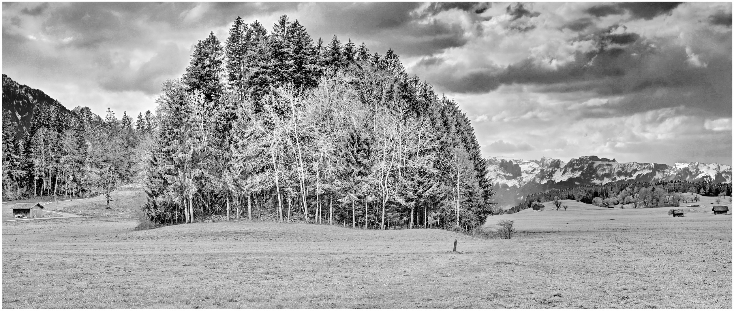 Lebensräume 2021-04-14 HDR-Panorama SW