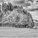 Lebensräume 2021-04-14 HDR-Panorama SW