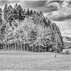 Lebensräume 2021-04-14 HDR-Panorama SW