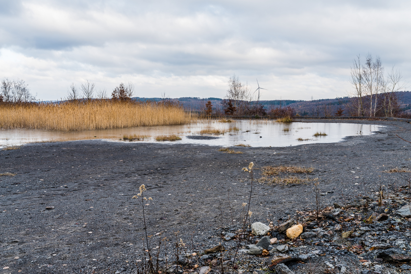 Lebensräume auf der Halde Göttelborn/Saar