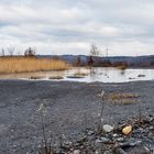 Lebensräume auf der Halde Göttelborn/Saar