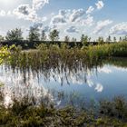 Lebensräume auf der Halde Lydia Camphausen