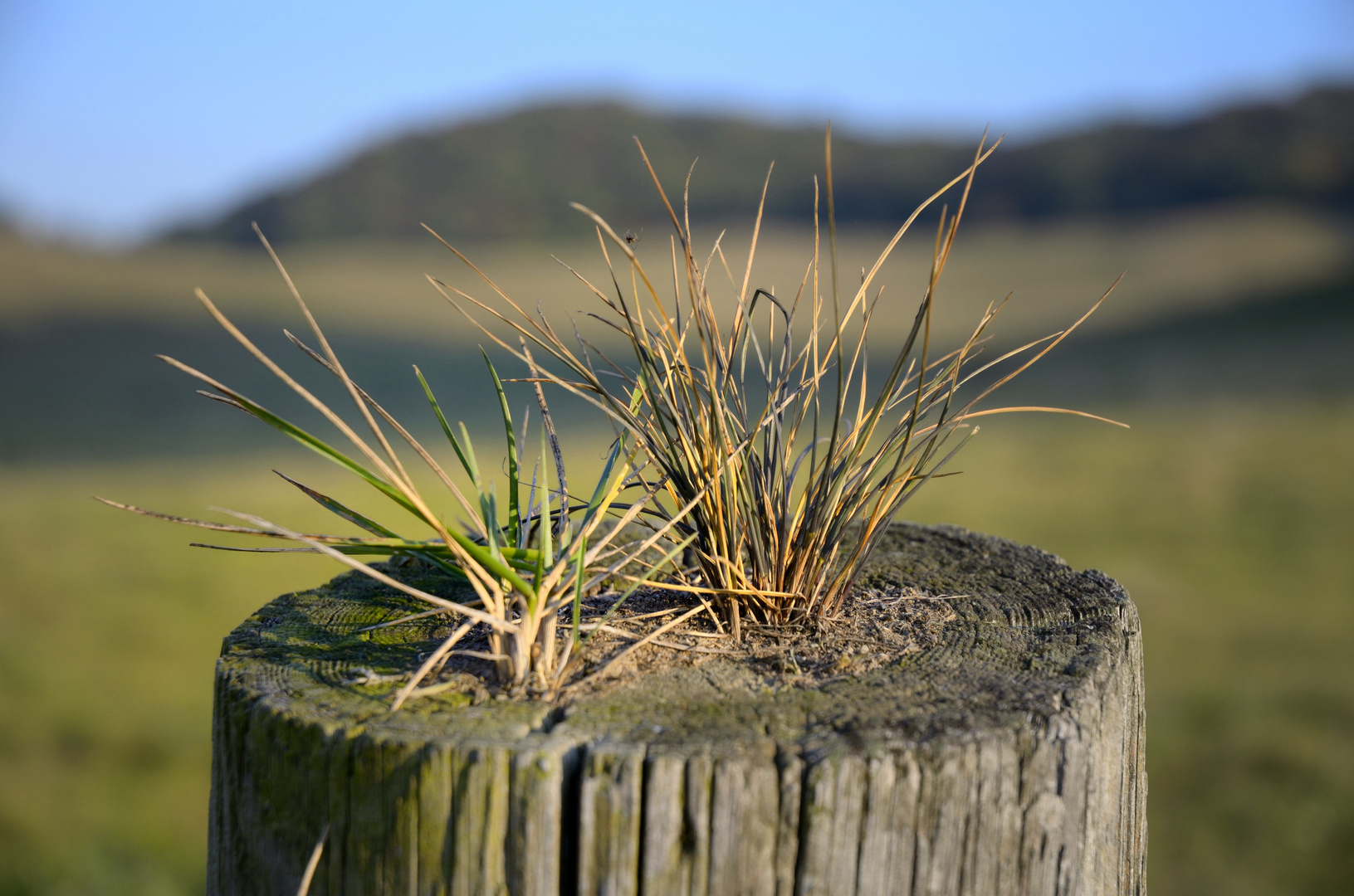 Lebensräume der Natur