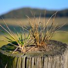 Lebensräume der Natur