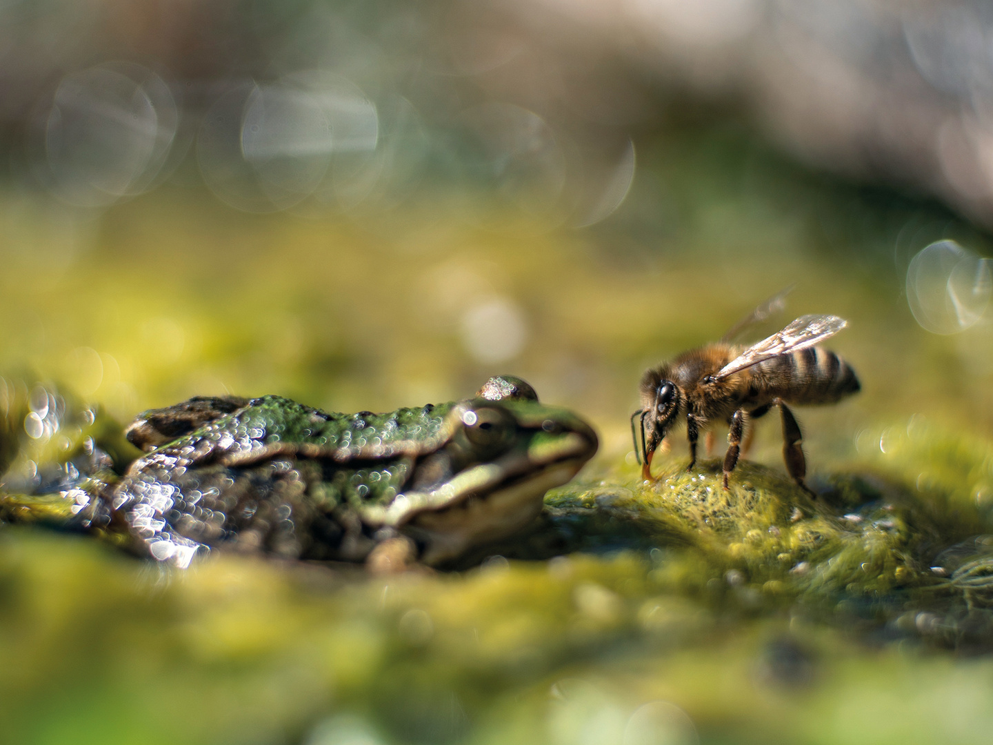 Lebens.Raum Foto & Bild spezial, outdoor, natur Bilder auf