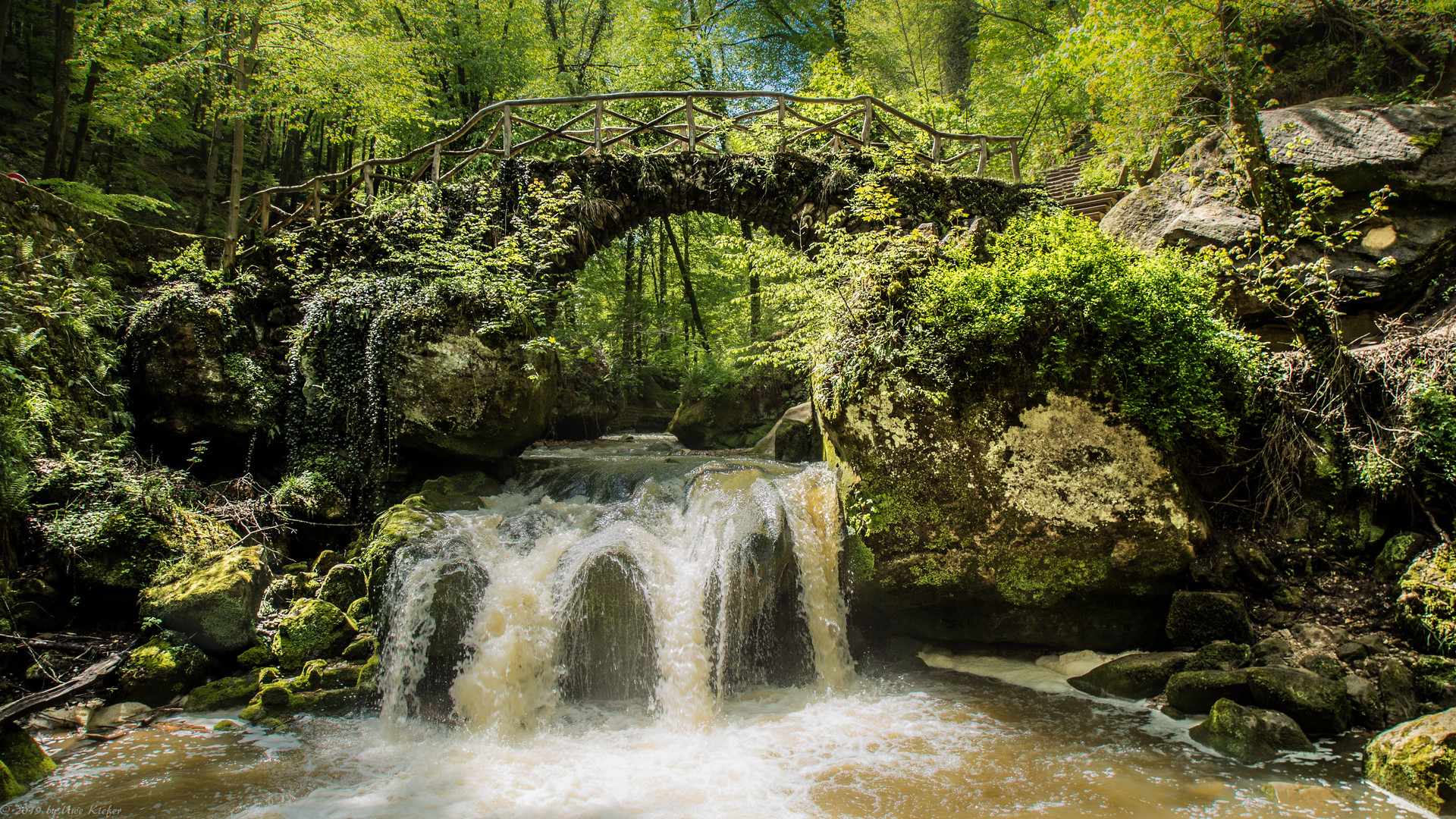 Lebensraum der Wasseramsel Schiessentümpel