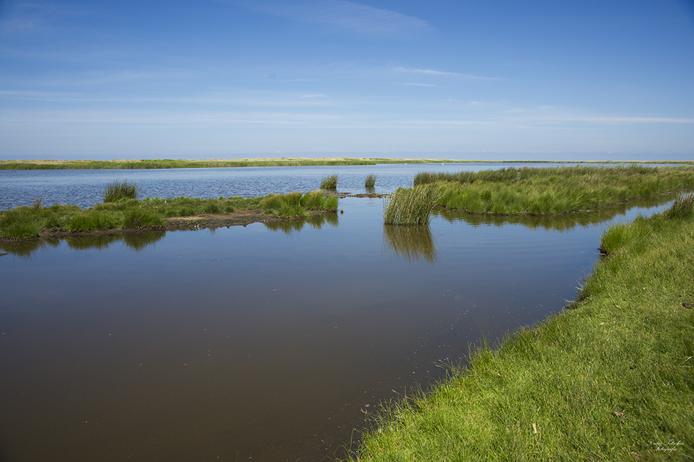 Lebensraum Fehmarn