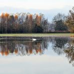 Lebensraum "Grand Ried"