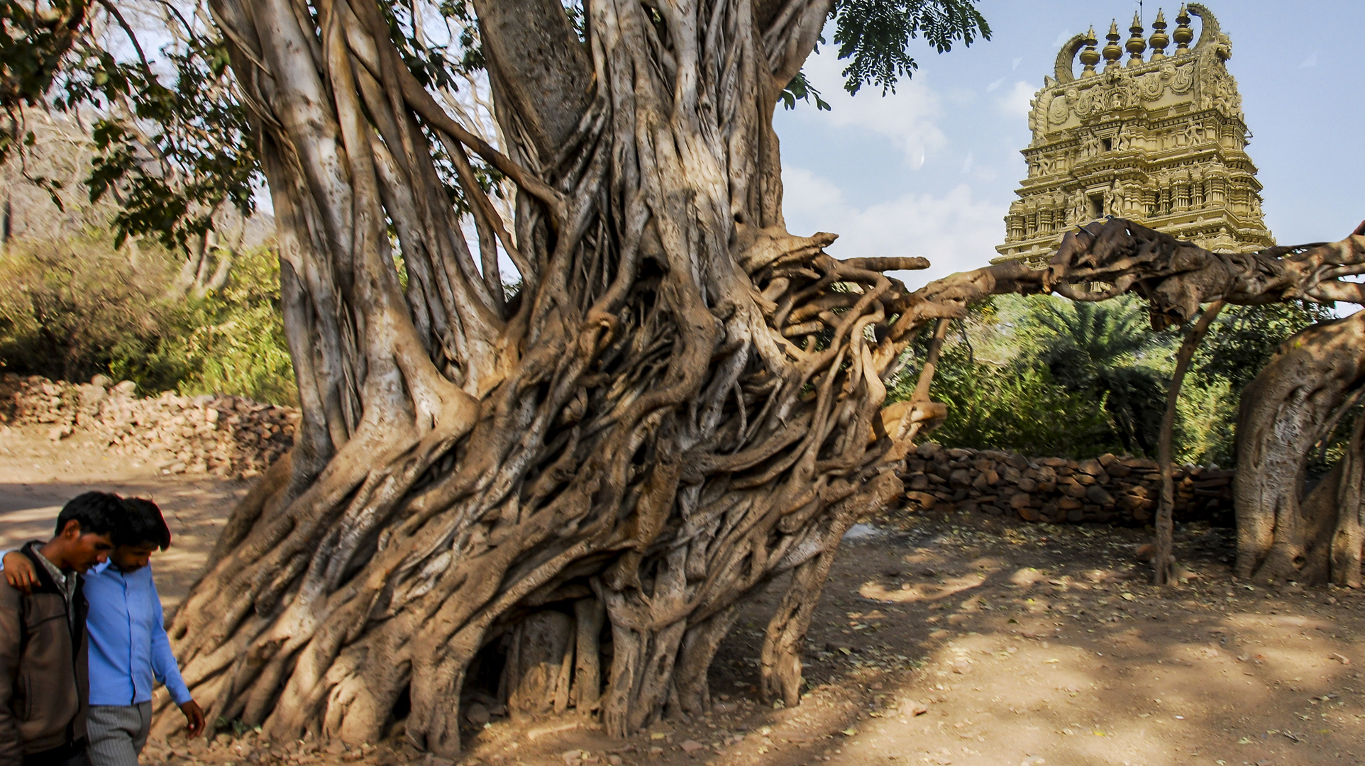 Lebensraum mit Tempel in Mysore, Indien