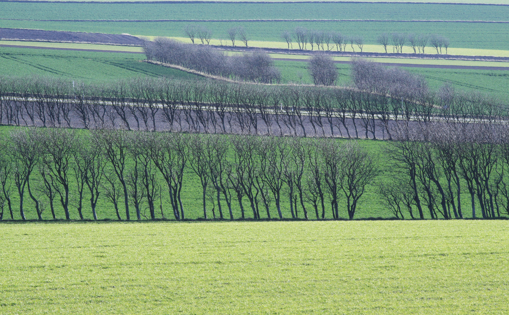 Lebensraum Natur