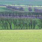 Lebensraum Natur