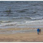 Lebensraum Nordseestrand - oder: ...voll krass, ey, Alder, ich schwör... !