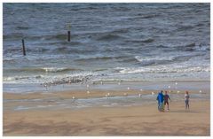 Lebensraum Nordseestrand - oder: ...voll krass, ey, Alder, ich schwör... !