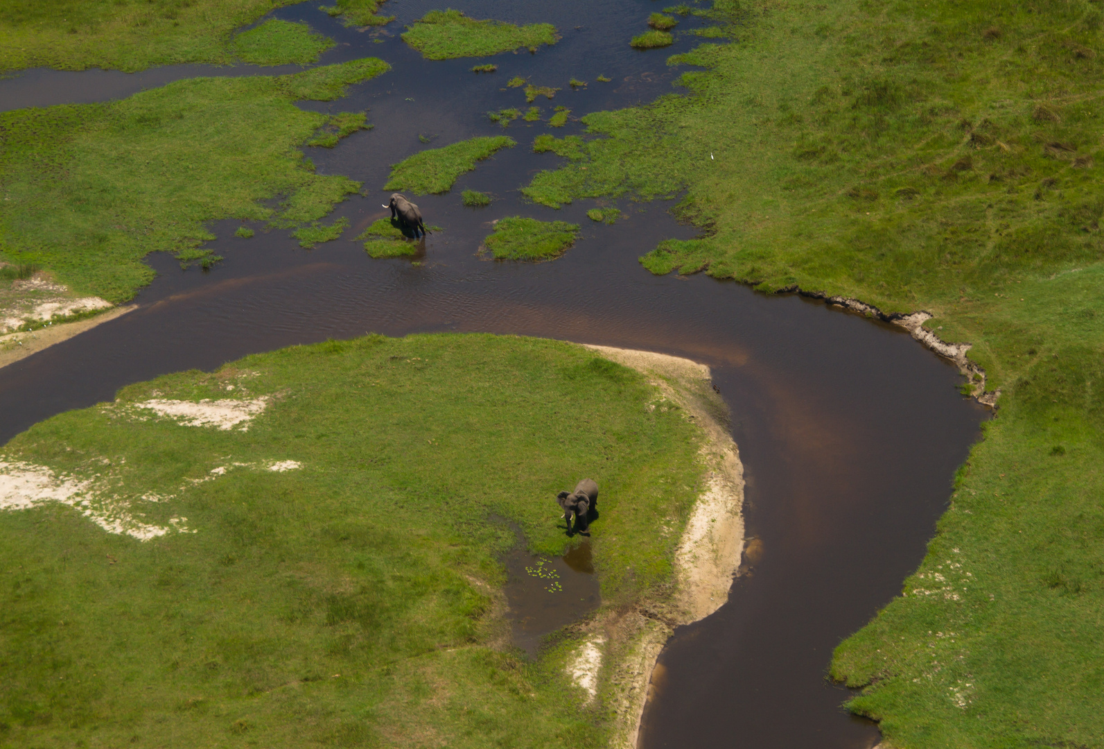 Lebensraum Okavango Delta