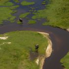 Lebensraum Okavango Delta